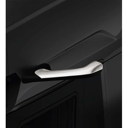 ON CAMERA MIRROR COVER for DAF XF