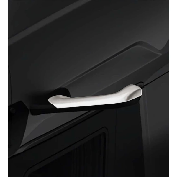 ON CAMERA MIRROR COVER for DAF XF